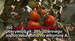 Pomidory. Oto ich cudowne właściwości