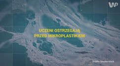 Uczeni ostrzegają przed mikroplastikiem [Pixel]
