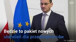 Konstytucja biznesu Morawieckiego. Nowa "ustawa Wilczka"?