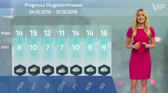 Ośrodki niżowe nie odpuszczą - prognoza długoterminowa