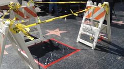 Zniszczona gwiazda Donalda Trumpa w hollywoodzkiej Alei Sław.