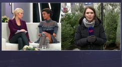 Choinka  z marketu - dlaczego nie warto jej kupować