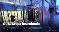 Bezrobocie w Polsce. Tak dobrze na rynku pracy w grudniu nie było od 25 lat