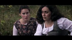 Zerwany kłos (2017)