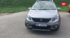 Miejski crossover w specjalnej wersji. Pierwsze wrażenia z 2008 Crossway