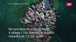 Santa Cruz del Islote. Oto najgęściej zaludniona wyspa świata