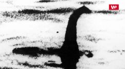 Poszukiwania potwora z Loch Ness. Naukowcy pobiorą próbki DNA