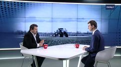 Zła etykieta nie tylko przy truskawkach. Sprzedawcy oszukują w kwestii pochodzenia ziemniaków