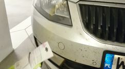 Wystarczy wydać 8 zł, żeby pozbyć się problemu insektów. Szmatka z supermarketu zdaje egzamin 