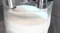 Zamienniki krowiego mleka. Bezpieczne dla alergików