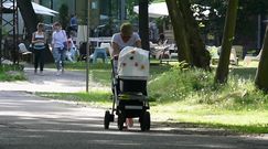 Zrezygnowana Zielińska pcha wózek w parku 