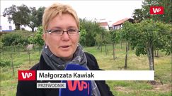 Najlepsze miejsce na urlop z dala od tłumów. Odwiedź portugalskie Alentejo