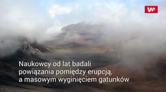 "Wymieranie permskie". Naukowcy o największej katastrofie w historii Ziemi 