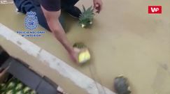 Kokaina znaleziona w ananasach