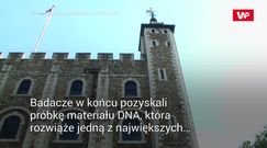 DNA zmarłych książąt