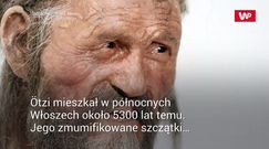 Ostatni posiłek sławnego Człowieka Lodu. Naukowcy już wiedzą, co zjadł 5 tys. lat temu