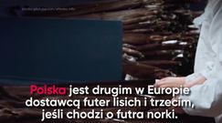 Przemysł futrzarski w Polsce