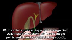 3-dniowa kuracja oczyszczająca wątrobę