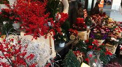 Najlepszy jarmark bożonarodzeniowy w Europie