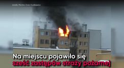 Pożar na warszawskim Powiślu. Spłonęło mieszkanie