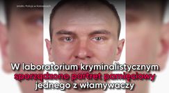 Śląska policja poszukuje włamywaczy. Opublikowano nagranie i portret