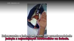 Manushi. Jedno z najmniejszych dzieci na świecie 
