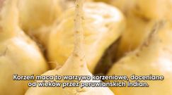 Korzeń maca - nieocenione wartości zdrowotne