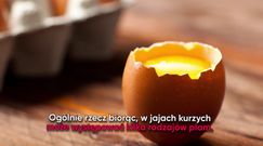 Czym jest ciemna plamka w jajku?