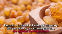 Boswellia – cudowne ziele na różne dolegliwości