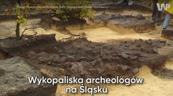 Wykopaliska archeologów na Śląsku. Odnaleźli piec sprzed 1000 lat