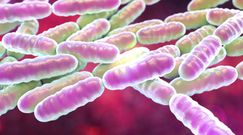 5 powodów, dla których powinieneś zacząć jeść kiszonki jeszcze dziś