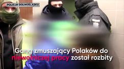 Robili z Polaków niewolników. Szefowie gangu w rękach policji 