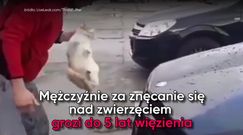 Chciał zemścić się na kocie. Umył nim samochód