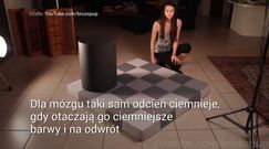 Iluzje, które zawsze nabierają nasz mózg