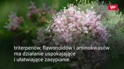 Nie możesz spać? Spróbuj tych ziół  