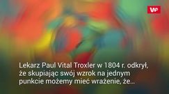 Iluzje rządzą naszym mózgiem. Poznaj efekt Troxlera