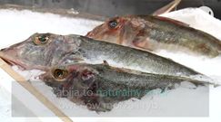 Owoce morza coraz popularniejsze na polskim stole 