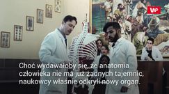 Lekarze odkryli nowy organ w ludzkim ciele