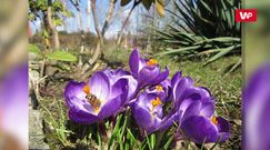 Ciepłe dni zaraz miną. Pojawią się ulewy, a nawet powodzie