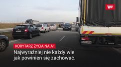 Korytarz życia. Nie wszyscy wiedzą, jak należy z niego korzystać