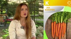 Czy można przedawkować karoten?