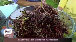 Czarny bez - najlepszy na jesienne przeziębienia