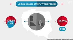 Statistica: Ile wynosi szara strefa w Polsce?