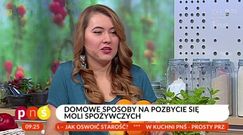 Jak skutecznie zwalczyć mole spożywcze?