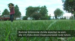 Znaleźli i udomowili dwugłowego węża