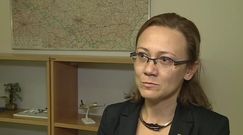 Jak radzą sobie polskie firmy w Skandynawii?