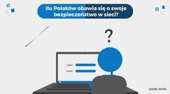 Statistica: Bezpieczeństwo w sieci