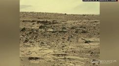 Myszy na Marsie? Dziwne zdjęcia NASA