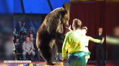 Niedźwiedź wbiegł w publiczność w cyrku