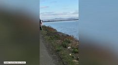 Zagubione zwierzę przykuło uwagę kierowców 